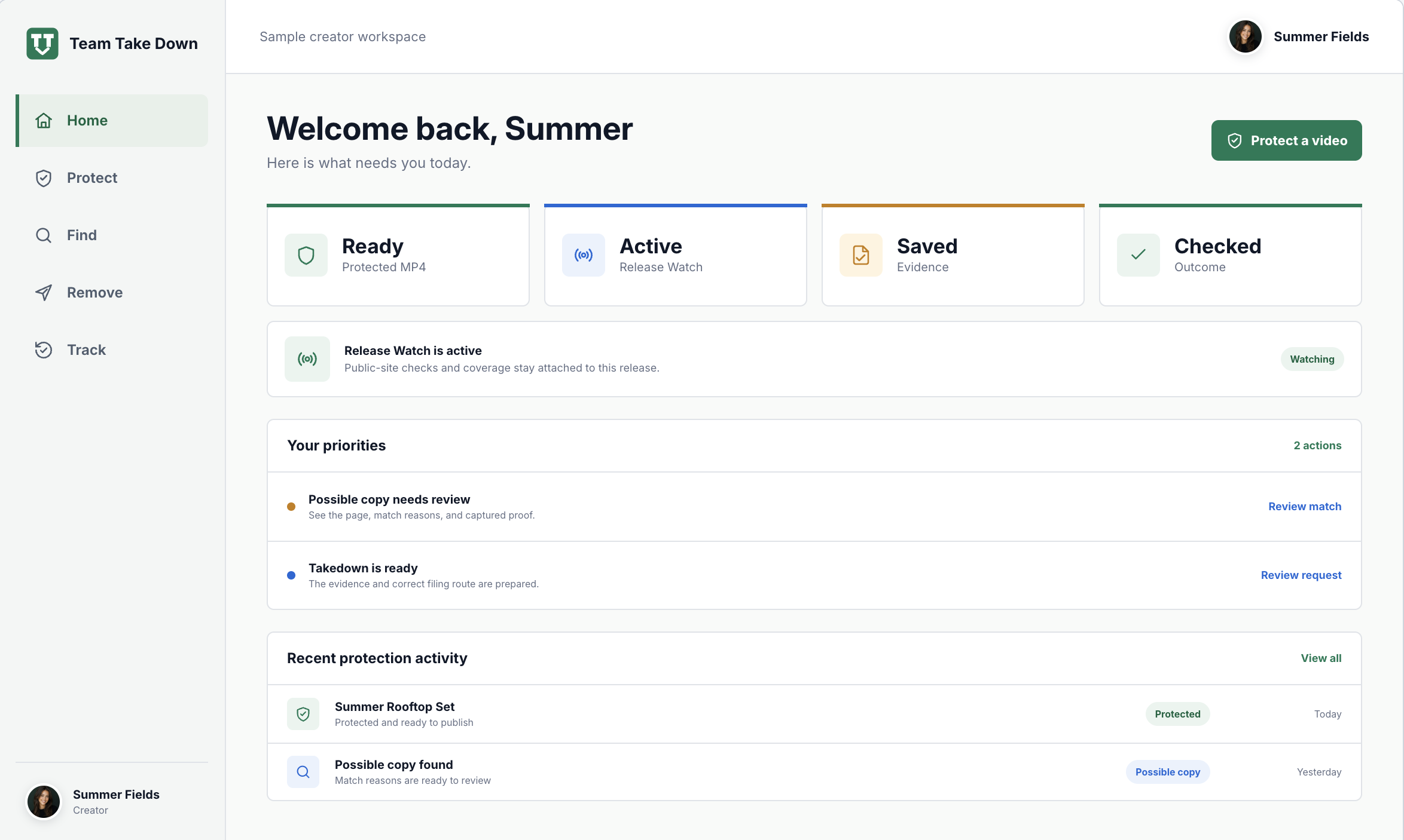 Team Take Down creator workspace showing protected release status, priorities, and recent protection activity